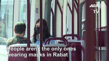 Rabat tramways don face masks to encourage Moroccans to wear them