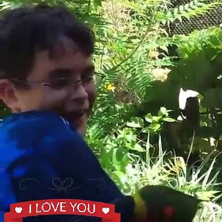 Funny videos | funnest kids slide fail | entertainment videos