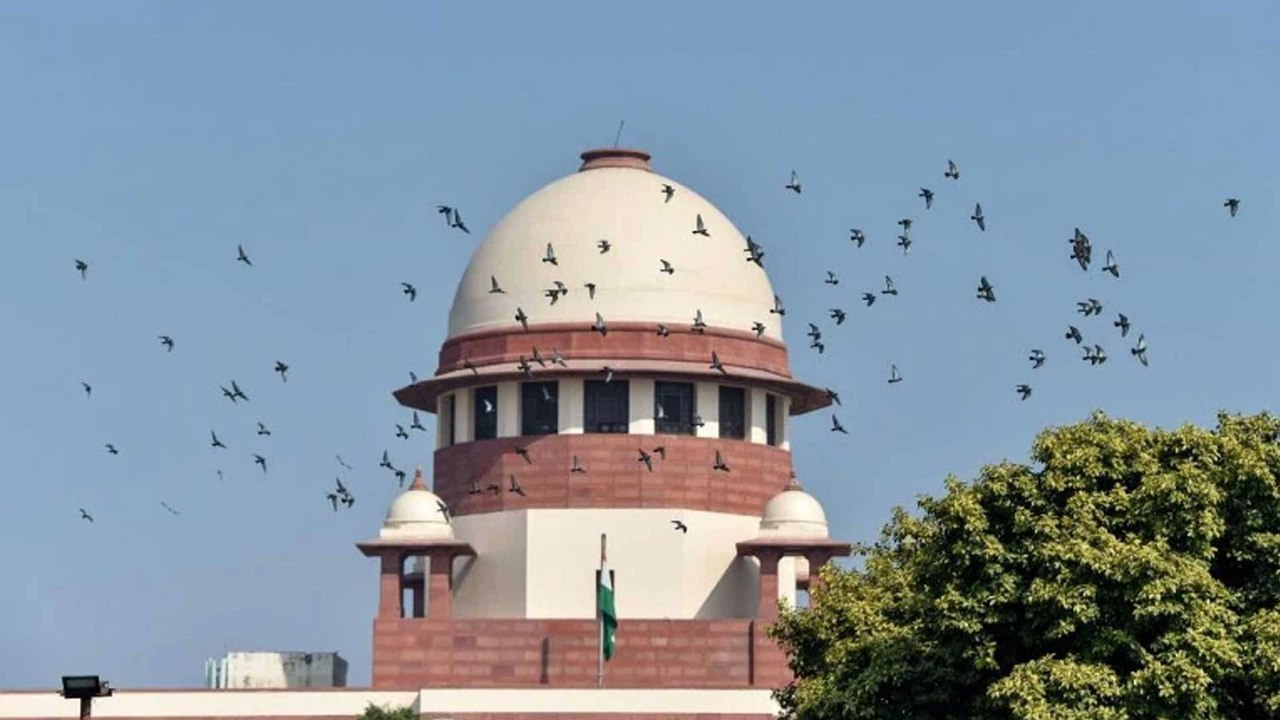 SC slams state governments over situation in hospitals