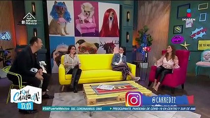 Ninel Conde  afirma que su ex se esconde de las autoridades