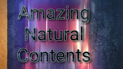 Amazing View of The SunLight | Sun Sunshine | सनलाइट का अद्भुत दृश्य | सूरज की धूप