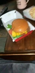Dog Sneaks Away with Nuggets
