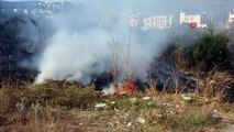 Bodrum'da otluk alanda yangın