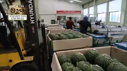 좋은 수박 고를 수 있는 법 알려드려요!