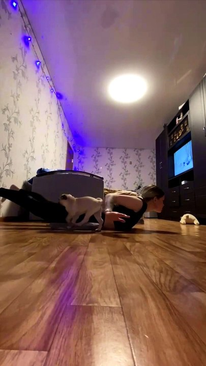 Puppy wants Attention not Exercise