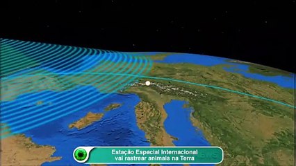 Estação Espacial Internacional vai rastrear animais na Terra