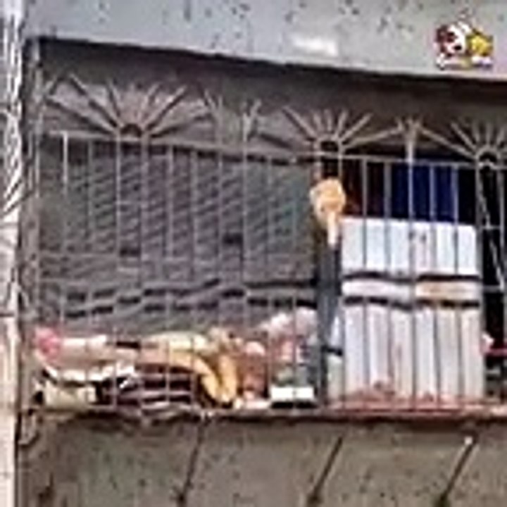https://bit.ly/37pndnD