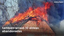 Científicos en Ucrania encuentran signos de vida tras los incendios en Chernóbil