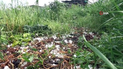 Kars’ta dolu yağışı hayatı olumsuz etkiledi