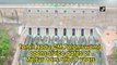 Tamil Nadu CM Palaniswami opens sluice gates of Mettur Dam after 9 years