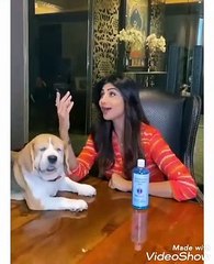 Shilpa shetty enjoying with husband on tiktok