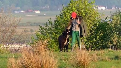 Des hommes, des ours et des forêts