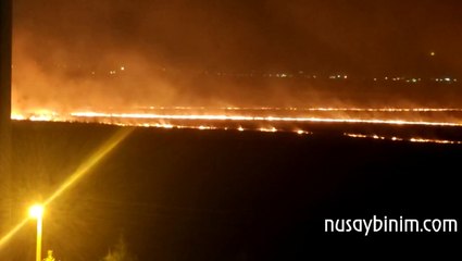 Nusaybin'de sınırdaki mayınlı alanda yangın çıktı