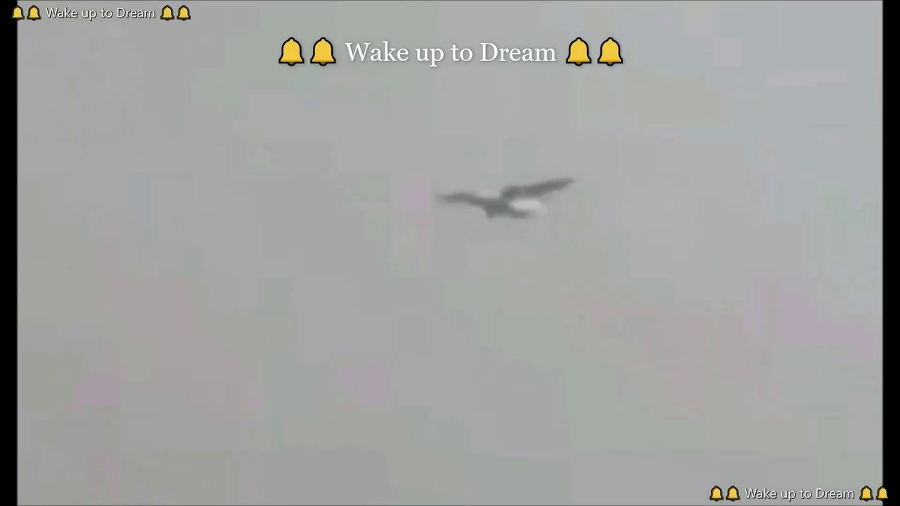 Pakistani Airbus A320 Crashed In Karachi || পাকিস্তানি যাত্রীবাহী বিমান করাচিতে বিধ্বস্ত হয়েছে  || Deadly Passenger Plane Crash in Karachi, Pakistan