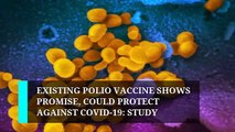 Existing polio vaccine shows promise, could protect against Covid-19