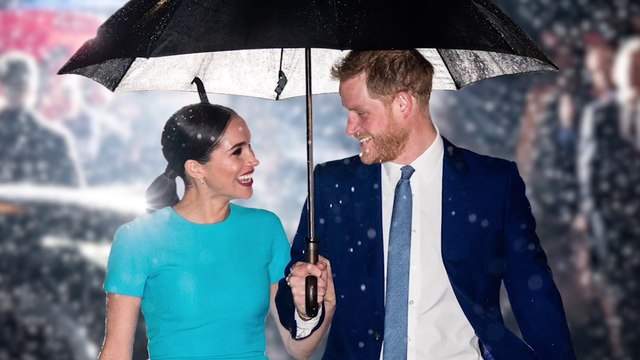 Comment le prince Harry et Meghan Markle ont fait de leur image une marque