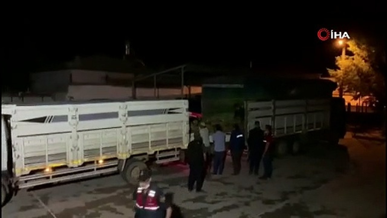 Konya'da 40 küçükbaş hayvanı çalan 7 şüpheli suçüstü yakalandı