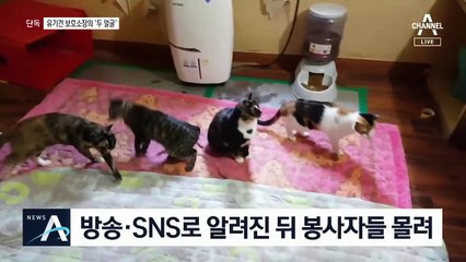 [단독]유기견 보호소장의 ‘두 얼굴’…후원자들에 욕설