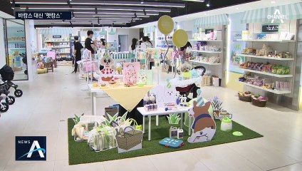 반려견 뷔페·쇼핑까지…여행 대신 ‘펫캉스’ 즐기는 사람들