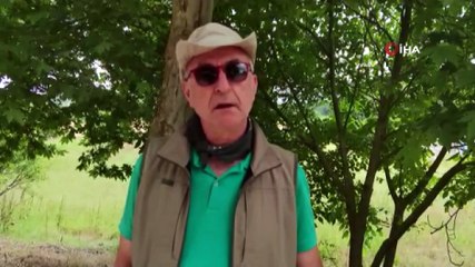 Çorum'da aslan görüldü iddialarına uzmanlardan sert tepki