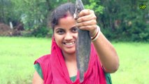 Catch and Cook Giant magur fish In My Homeland | Village Cooking Video by villcooking
