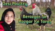 Beyrozgari se rozgar ke taraf | DESI POULTRY | Poultry Business