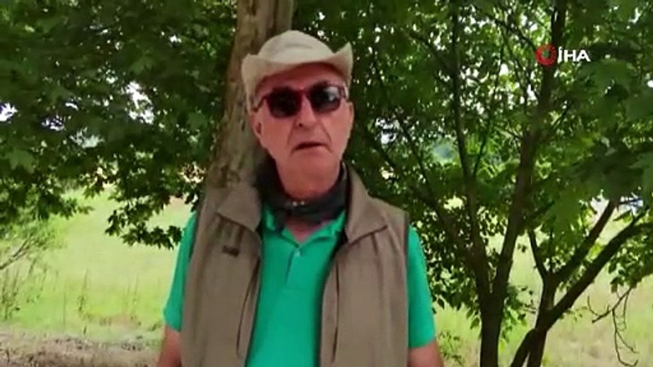 Çorum'da aslan görüldü iddialarına uzmanlardan sert tepki