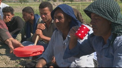 Turkey's seasonal workers face lower wages and extra competition