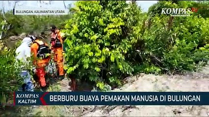 Berburu Buaya Pemakan Manusia Di Bulungan