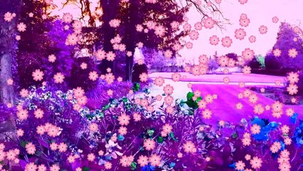 HEAD OF LIGHT ENTERTAINMENT: Dipping In And Out