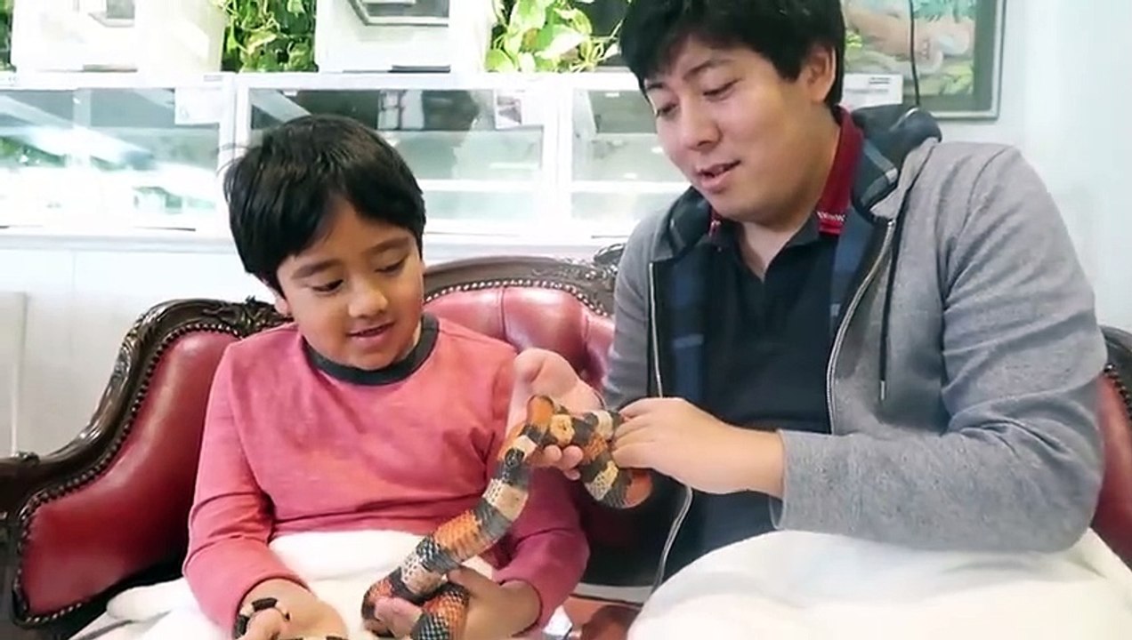 Ryan's Pet Snake playtime at the Cafe!