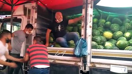 Türkiye'de bir ilk! İşte kaskolu karpuz