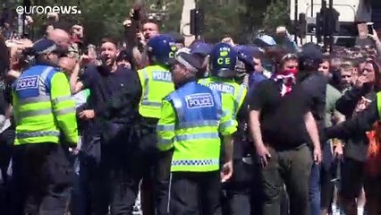 Londra: manifestazione in difesa dei monumenti, scontri tra polizia ed estremisti di destra