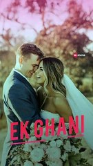 Bin Tere Status | Shafqat Amanat Ali | Sunidhi Chauhan | DK Status