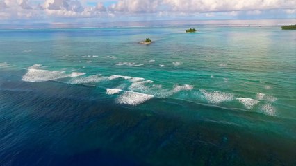 Zbulimi i rendesishem per ishujt koralore