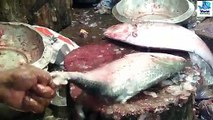 Admirable Hilsa(ilise) Fish Cutting in Fish Market