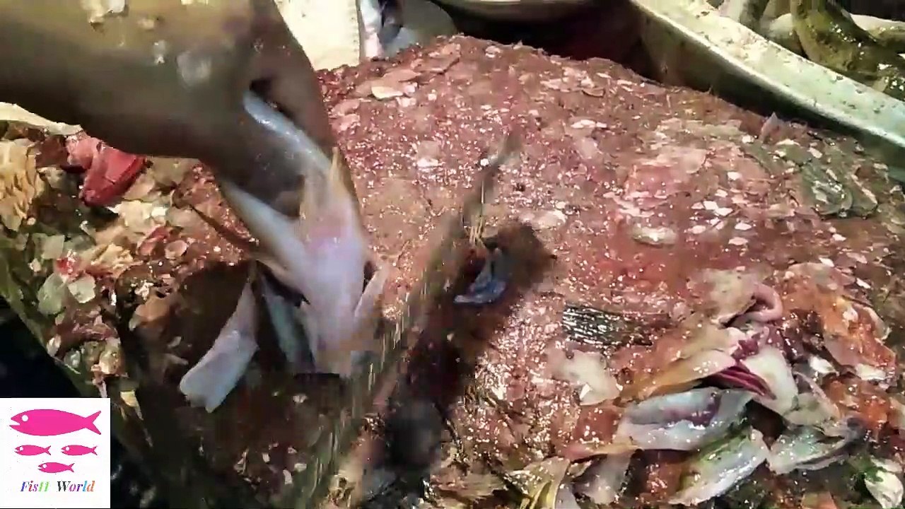 Amazing Baila Fish (Tank goby) cutting Live in FIsh Market 2019-Fillet Fish Skills