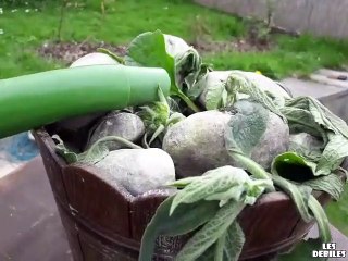 Il arrose sa plante, regardez comment elle le remercie