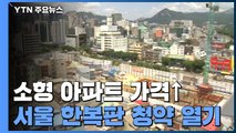 서울 한복판 청약 열기 후끈...소형 아파트 가격 쑥! / YTN