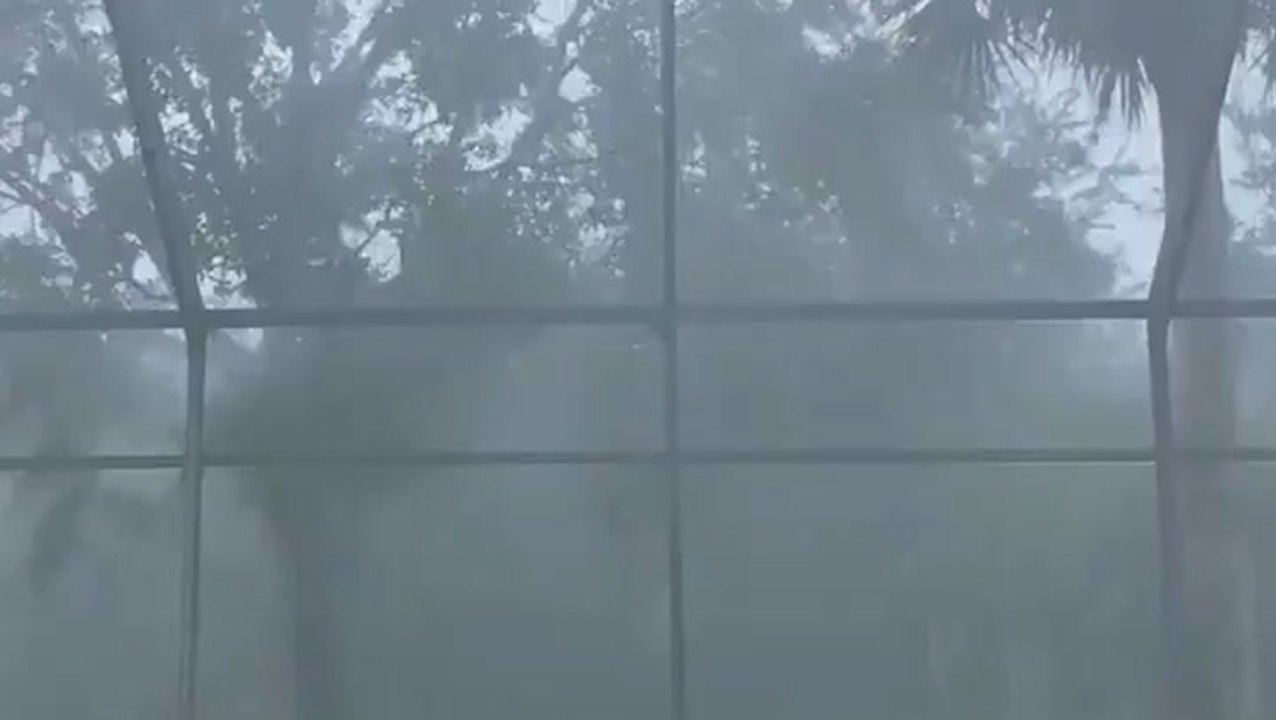 Dog unfazed by roaring thunder