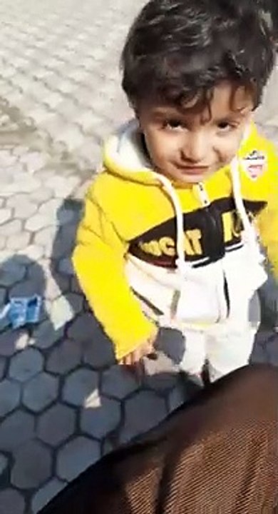 hadi