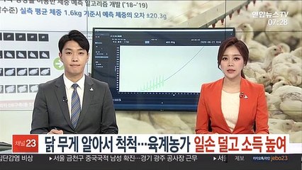닭 무게 알아서 척척…육계농가 일손 덜고 소득 높여