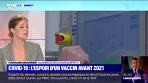 Coronavirus: l'Europe précommande 400 millions de vaccins