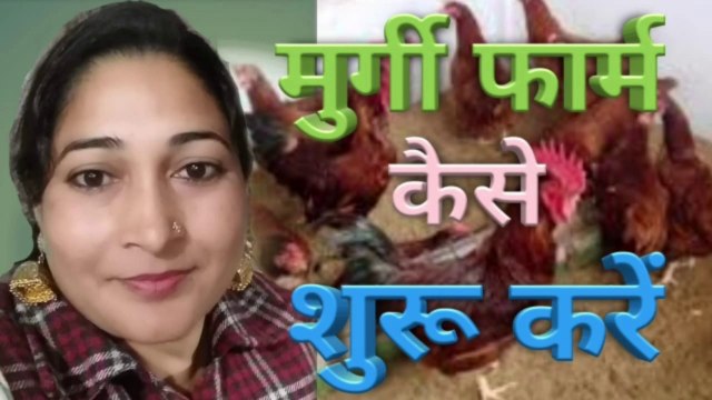 Murgi Farm kaise shuru kare | Poultry Farm kaise shuru kare | Poultry Business