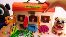 Paw Patrol PUPPY DOG PALS Disney Jr  Bingo Rolly, Color Gumballs - Fun Kids Toys