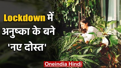 Virat Kohli's Wife Anushka Sharma shares photo with her New Lockdown Buddies | वनइंडिया हिंदी