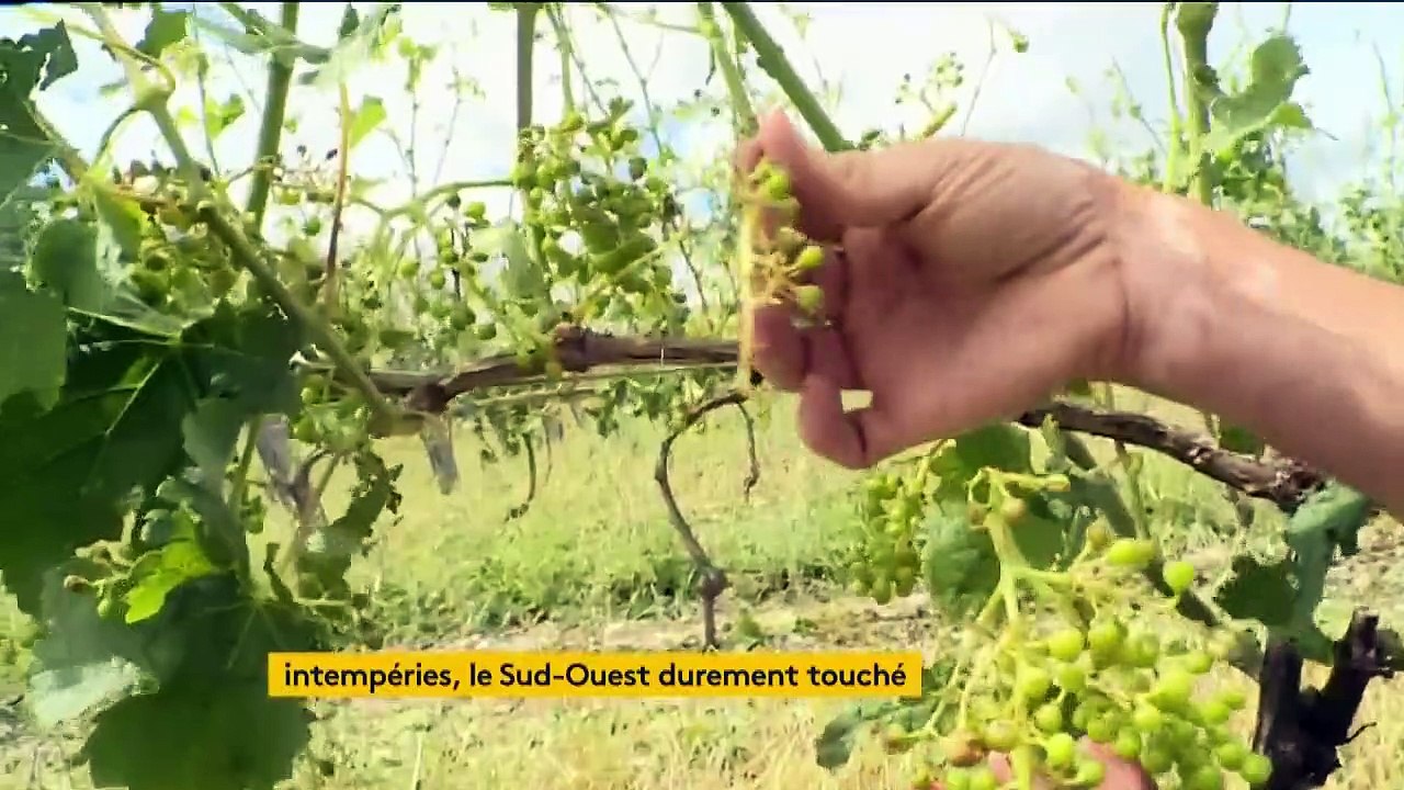 Intempéries : le Sud-Ouest durement touché