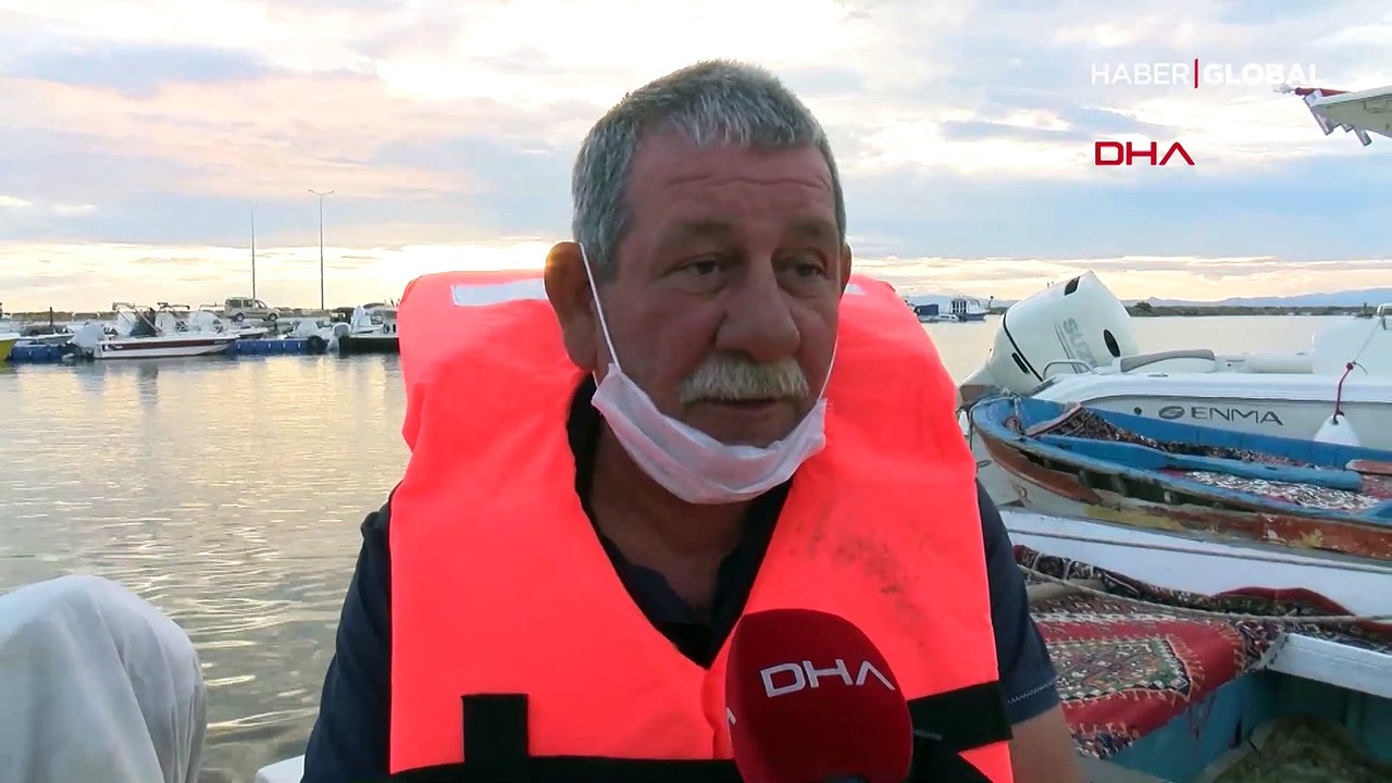 Saros Körfezi'nde köpek balığı görüntülendi