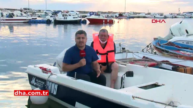 Saros Körfezi'nde köpek balığı görüntülendi