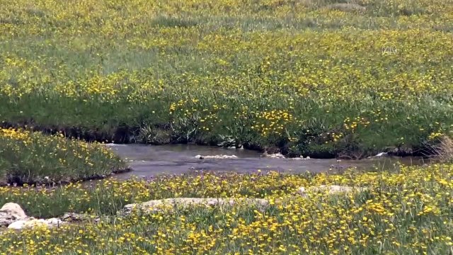 Bolkar Dağları, yeni normalleşme sürecinde ziyaretçi akınına uğruyor - NİĞDE